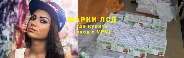 прущие грибы Баксан