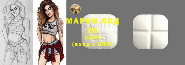 прущие грибы Баксан