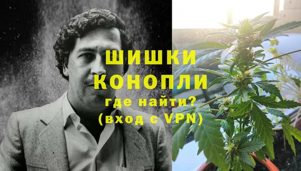 прущие грибы Баксан