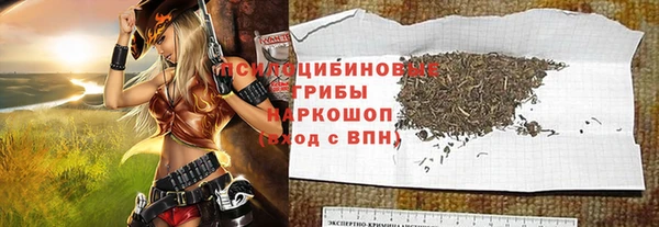 соль ск Балахна