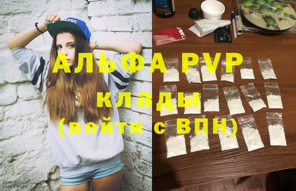 прущие грибы Баксан