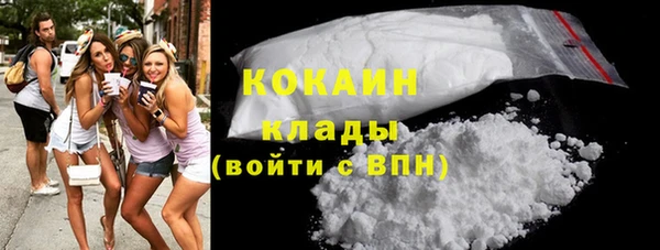 прущие грибы Баксан