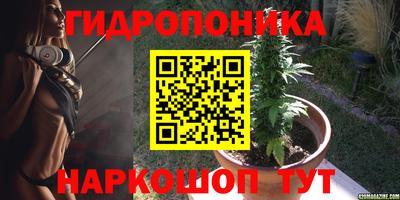 2c-b Кинель