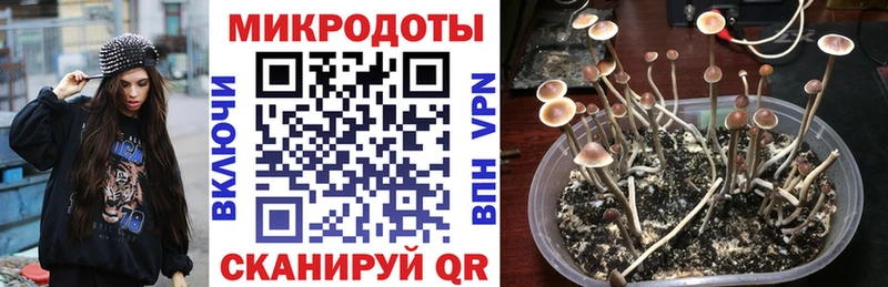 Галлюциногенные грибы ЛСД  Кунгур 