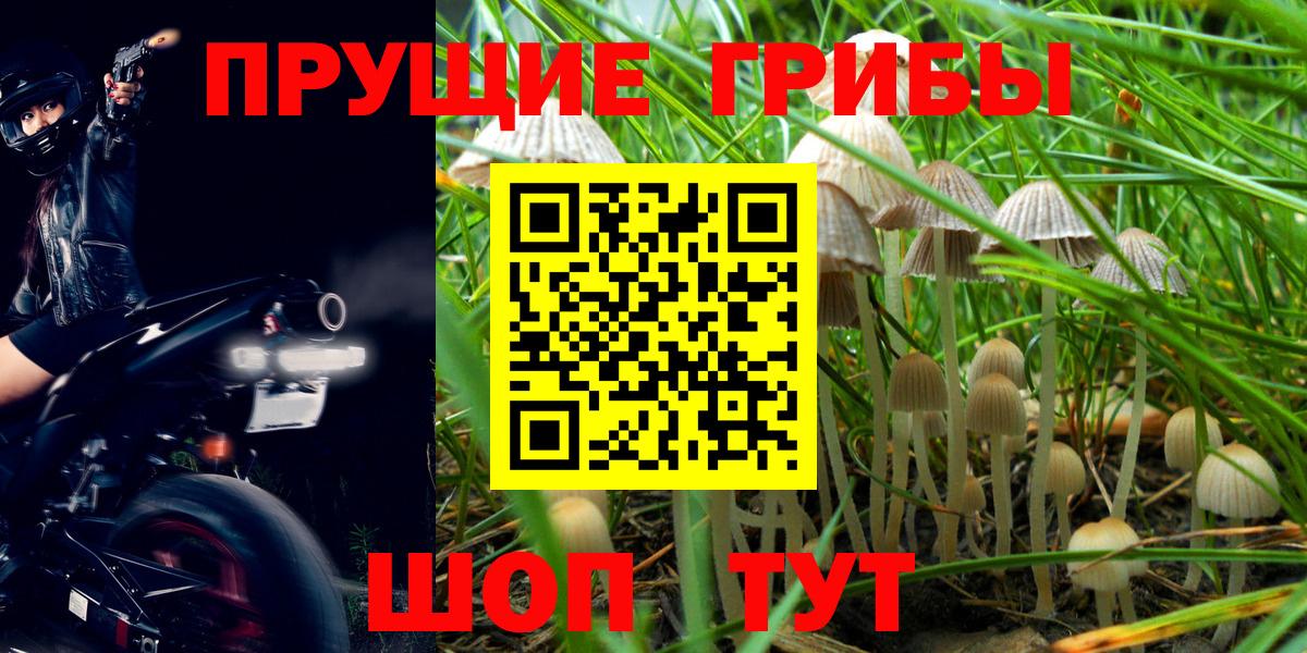 Галлюциногенные грибы MAGIC MUSHROOMS Кунгур